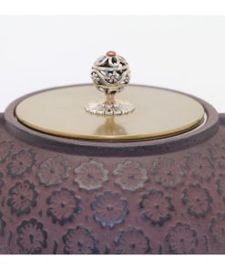 Alternative view of BOUILLOIRE EN FONTE – KING