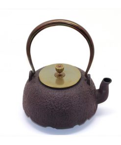 BOUILLOIRE EN FONTE – PRINCESS