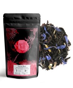 Alternative view of FLEUVE BLEU