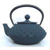 THÉIÈRE  EN FONTE ARARE BLEU NUIT 0.30L