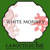 WHITE MONKEY