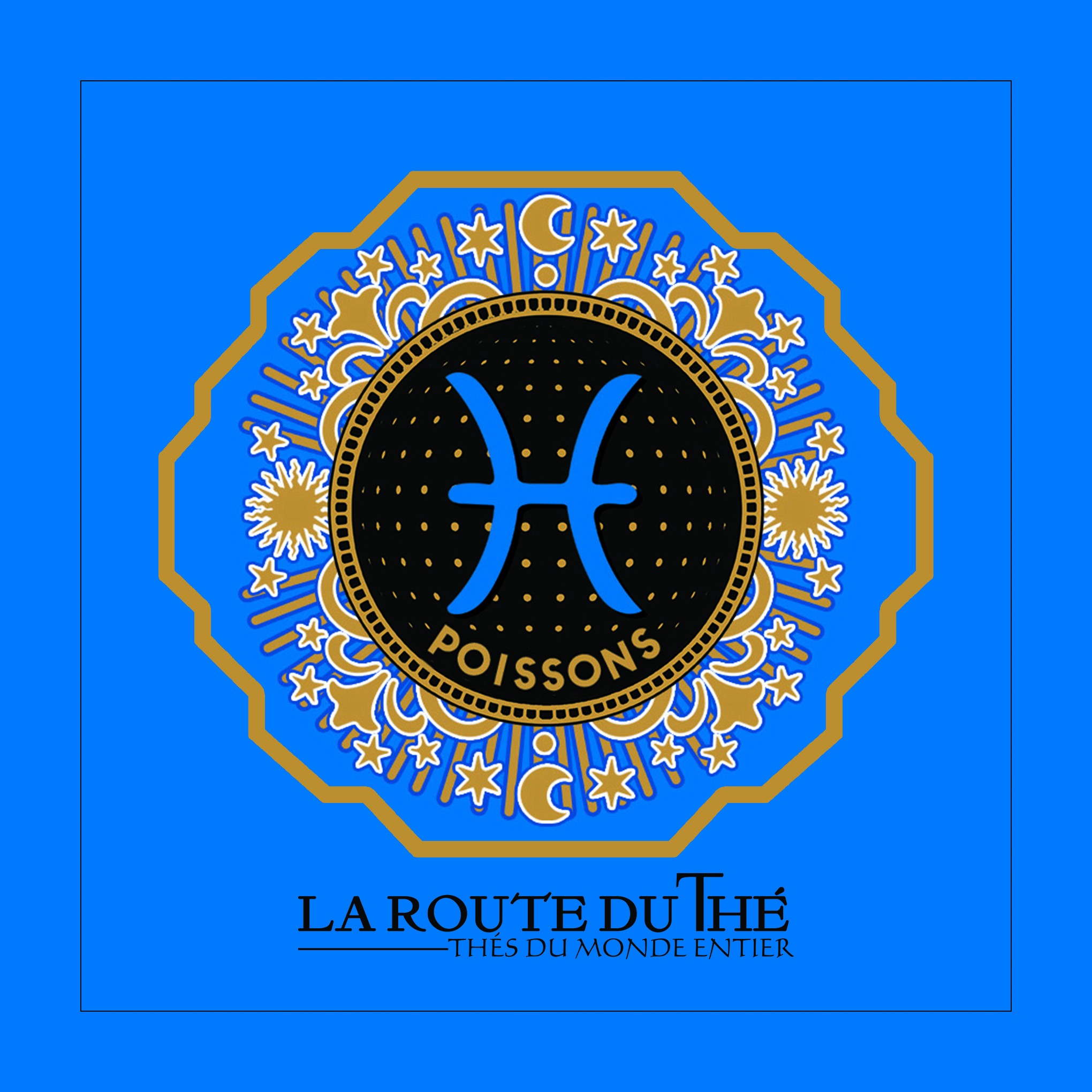 Astrothé Poisson - Intuitif, émotif et altruiste – Image 5