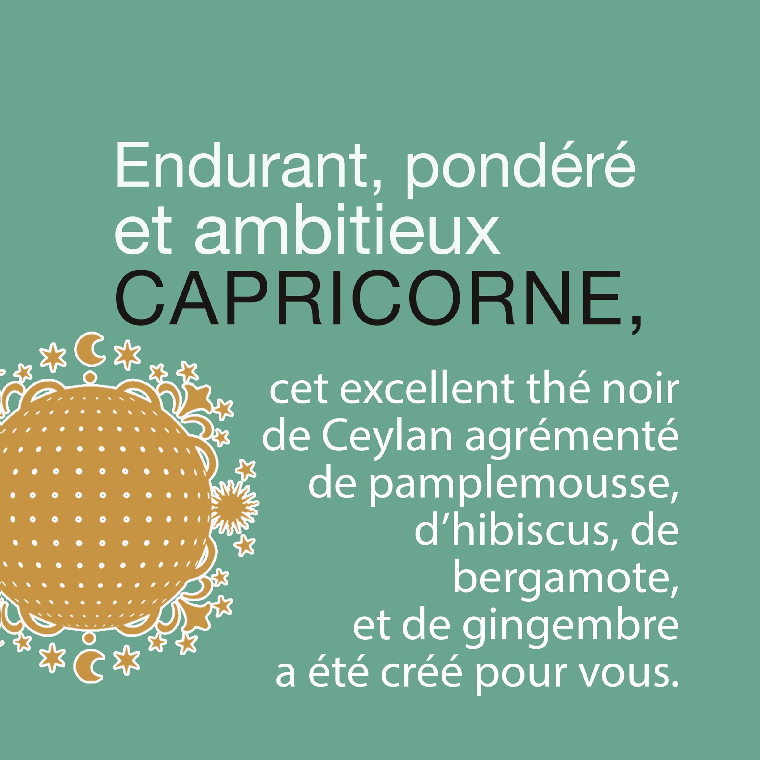 Astrothé Capricorne - Endurant, pondéré et ambitieux – Image 4