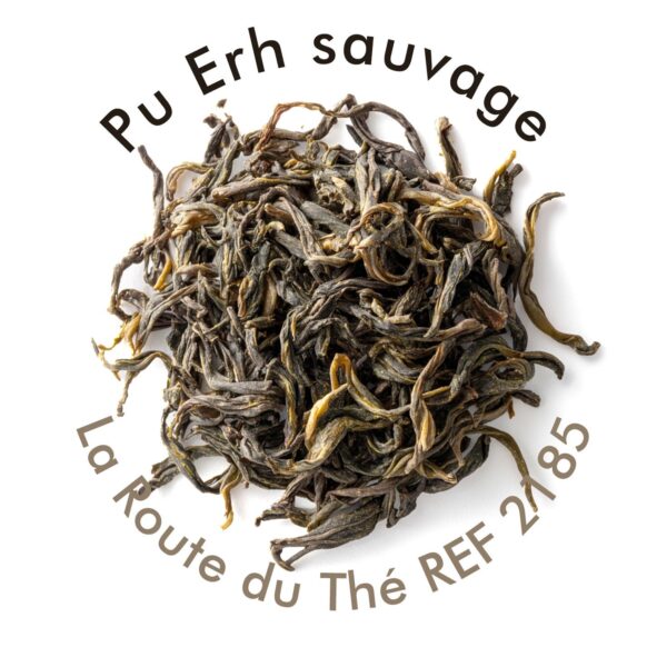 PU ERH SAUVAGE